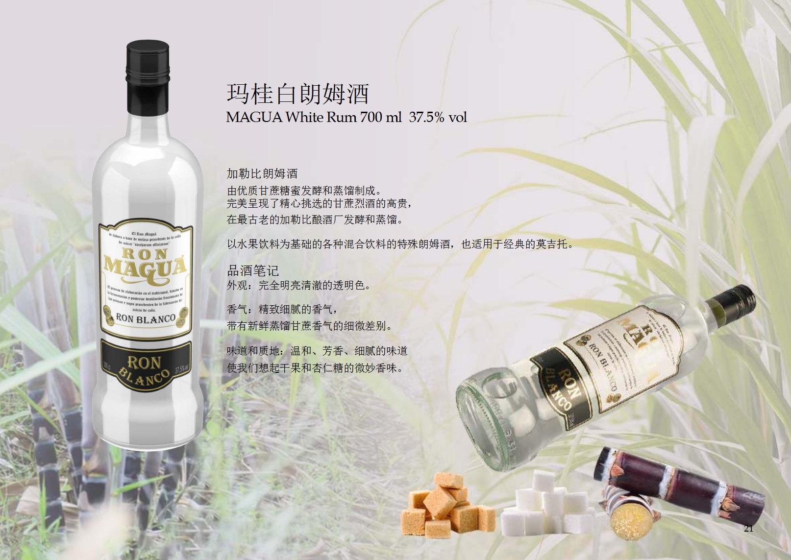 微信截圖_20231020061407.jpg